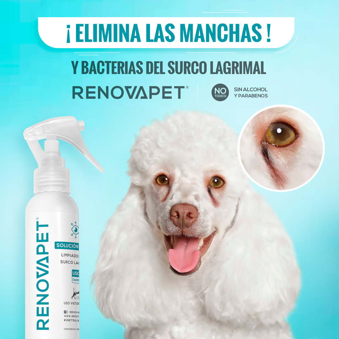 Limpiador de manchas del surco lagrimal para mascotas | Renovapet Solución Tópica Limpiadora Del Surco Lagrimal. 120ml. No. Reg. ICA: 11260-CV